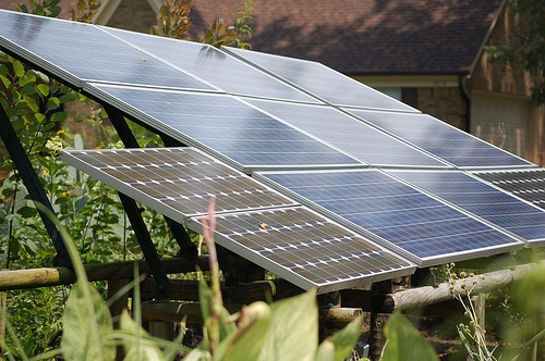 Agrivoltaïsme : quels sont les avantages d’installer des panneaux solaires dans les champs ?